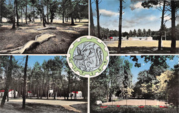 Camp De TANAIS (Gironde) Par Blanquefort - C.I.T. 154 - Ensemble Des Terrains De Sports - Mini-Golf, Tennis - C.I. Train - Blanquefort