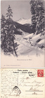 WINTERSTIMMUNG IM WALD - SVIZZERA - SCHWEIZ - SUISSE - SWITZERLAND - VIAGG. 1907 -83743- - Wald