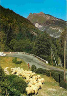 Animaux - Moutons - Pyrénées - Troupeau Redescendant De La Montagne - CPM - Voir Scans Recto-Verso - Other & Unclassified