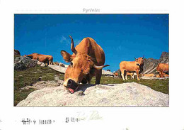 Animaux - Vaches - Pyrénées - L'estivage Des Troupeaux Sur Les Hauts Pâturages - Flamme Postale - CPM - Voir Scans Recto - Cows