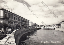 CARTOLINA  SENIGALLIA,ANCONA,MARCHE-FIUME MISA-MARE,LIDO,BAGNI,ESTATE,LUNGOMARE,BOLLO STACCATO,VIAGGIATA 1963 - Viareggio