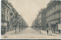 Molenbeek - Avenue De Terneuzen - 1914 - St-Jans-Molenbeek - Molenbeek-St-Jean