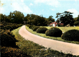 Saumont * L'allée Du Château Du Village - Autres & Non Classés