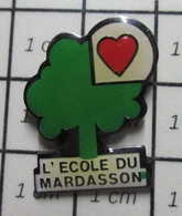 1416a Pin's Pins / Beau Et Rare / THEME : ADMINISTRATIONS / COUER ROUGE ARBRE VERT L'ECOLE DU MARDASSON BASTOGNE BELGIQU - Administrations