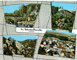 La Salvetat Peyralès * Souvenir De La Commune * Cp 4 Vues - Autres & Non Classés