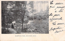 CPA Elmwood Park - Holyoke - Mass - Animé - Carte Pécurseur - Oblitéré à Holyoke Et Springfield En 1905 - Other