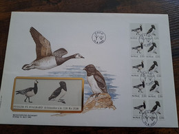 NICE LETTER NORWAY /BIRDS   / BIG COVER / STAMPBOOKLET         ** BRIEF 124** - Covers & Documents