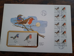 NICE LETTER NORWAY /BIRDS   / BIG COVER / STAMPBOOKLET         ** BRIEF 125** - Covers & Documents