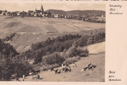 Blick Zum Astenturm - Winterberg