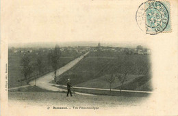 Damazan * 1905 * Vue Panoramique - Damazan