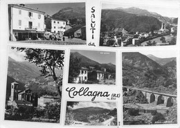 17271 " SALUTI DA COLLAGNA " 6 VEDUTE-VERA FOTO-CART. POST. SPED. 1965 - Reggio Emilia