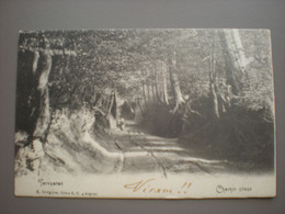 Tervuren - Tervueren - Chemin Creux - Grégoire - Tervuren