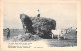 CPA G Bertacchi - Il Carro Oltre Passo D'erbe Ripieno - Attelage De Boeufs - Ramassage Du Foin - Landbouw