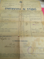 Certificato Di STUDIO/ Scuole Elementari Del Comune Di SANT'ELENA/Padova/Antonio TERSENI/1925           DIP271 - Diploma & School Reports