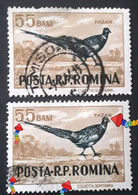 Errors Romania 1956 Printed With Writing Romanian Post And Pheasant Bird Moved - Variétés Et Curiosités