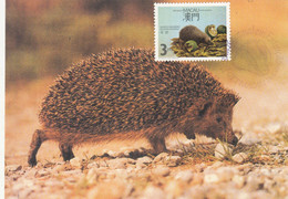 Macau, Macao, Maximum Cards, (54), Fauna Regional Em Extinção 1988 - Cartes-maximum