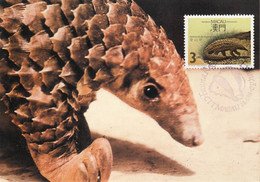 Macau, Macao, Maximum Cards, (55), Fauna Regional Em Extinção 1988 - Cartoline Maximum