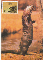 Macau, Macao, Maximum Cards, (56), Fauna Regional Em Extinção 1988 - Cartoline Maximum