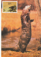 Macau, Macao, Maximum Cards, (56), Fauna Regional Em Extinção 1988 - Cartes-maximum