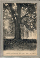 CPA - (54) MAXEVILLE - Thème: ARBRE - Aspect Du Gros Chêne, Roi Du Parc, En 1922 - Maxeville