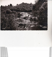 CPSM / Pf (49)  BAUPREAU.  Moulin De Haute-Brin. étang, Nénuphars  ...U223 - Water Mills