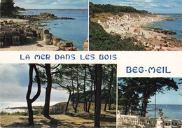 BEG MEIL - LA MER DANS LES  BOIS - MULTI VUES - Beg Meil