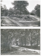 Ermelo - 3 Landschaftskarten        Ca. 1930 - Ermelo