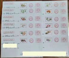 China Covers,with "Chinese Traditional Twenty Four Solar Terms” ，Color Postage Machine Stamp, First Day Actual Envelope - Covers