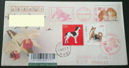China Covers,with “dog Year” ，Color Postage Machine Stamp, First Day Actual Envelope - Covers