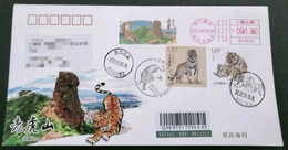 China Covers,with "tiger Year" Postage Machine Stamp, Color Postmark, First Day Real Envelope - Covers