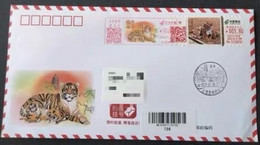China Covers,with "tiger Year" Postage Machine Stamp, Color Postmark, First Day Real Envelope - Covers