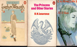 Penguin Books *The Princess And Other Stories *Men At Arms A Moment In Time - Autres & Non Classés