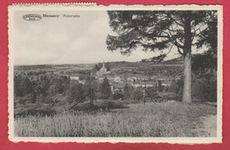 Messancy - Panorama ... De La Localité - 1965 ( Voir Verso ) - Messancy