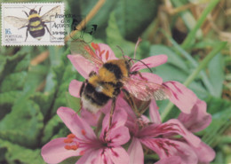 Carte  Maximum  1er  Jour    PORTUGAL   ACORES     Faune   1984 - Honeybees