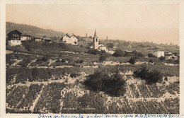 MURAZ Sur Sierre - Vignes - Vignobles - Sierre