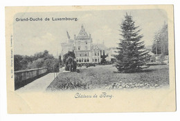 GRAND-DUCHE DE LUXEMBOURG  -- Château De Berg - Colmar – Berg