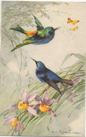 Illustrateur KLEIN  Oiseaux Fleurs Et Papillons - Klein, Catharina