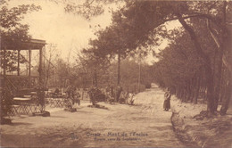 PK - Orroir - Mont De L'Enclus - Route Vers La Sapinière - Lijnstempel Cachet Amougies - Kluisbergen