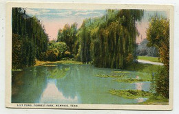 AK 064075 USA - Tennessee - Memphis - Lily Pond - Forrest Park - Memphis