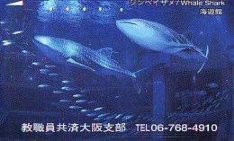 Télécarte Japon * REQUIN * HAIFISCH * SHARK * HAAI * VIS (208) BALEINE * WHALE * Phonecard Japan * FISH * TELEFONKARTE - Fish