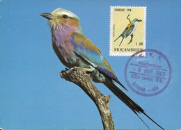 MAXIMUM CARD - MAXICARD - CARTOLINA MAXIMA - MAXIMUM KARTE - CARTE MAXIMUM - 1978 - MOZAMBIQUE - Coracias Caudata - Songbirds & Tree Dwellers