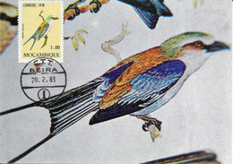 CARTE MAXIMUM - CARTOLINA MAXIMA - MAXIMUM KARTE - MAXIMUM CARD - 1978 - MOZAMBIQUE / MOÇAMBIQUE - Coracias Caudata - Songbirds & Tree Dwellers