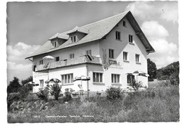 6912  GASTHOF-PENSION  SEEBLICK HÖRBRANZ  1968 - Bregenzerwaldorte