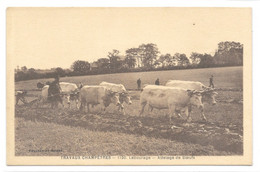 (32730-00) Travaux Champêtres - Labourage - Attelage De Boeufs - Attelages