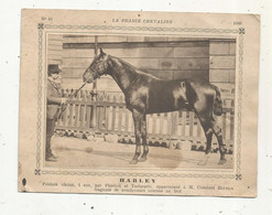Publicité , La France Chevaline ,1889 , HARLEY , Poulain Alezan à M. Constant Hervieu, Frais Fr 1.65e - Werbung
