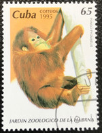 Cuba - C10/20 - (°)used - 1995 - Michel 3854 - Dierentuin Van Havana - Oblitérés