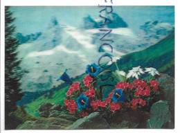 CPSM 3 D. Alpine Plants / Plantes Des Alpes (gentianes, ...) - Cartes Stéréoscopiques