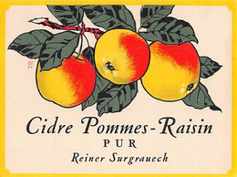 014212 "CIDRE POMMES - RAISIN - PUR REINER SURGRAUECH" ETICHETTA. III QUARTO XX SEC. - Fruits Et Légumes