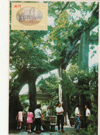 Macau, Macao, Maximum Cards, (84), Macau Visto Por...Lio Man Cheong 1995 - Cartoline Maximum