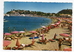 45549-ZE-83-La Cote D'Azur Varoise-CAVALAIRE-sur-MER-La Plage-------animée - Cavalaire-sur-Mer